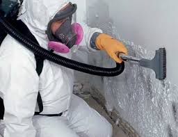 Best Mold Prevention Services  in Collins, MS